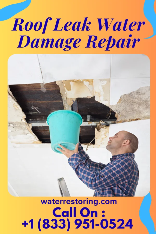 Roof Leak Water Damage Repair in Attica, OH