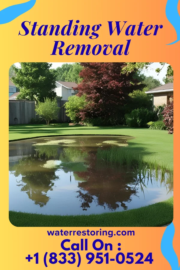 Standing Water Removal in Attica, OH